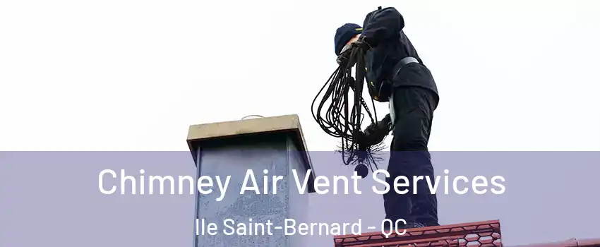  Chimney Air Vent Services lle Saint-Bernard - QC
