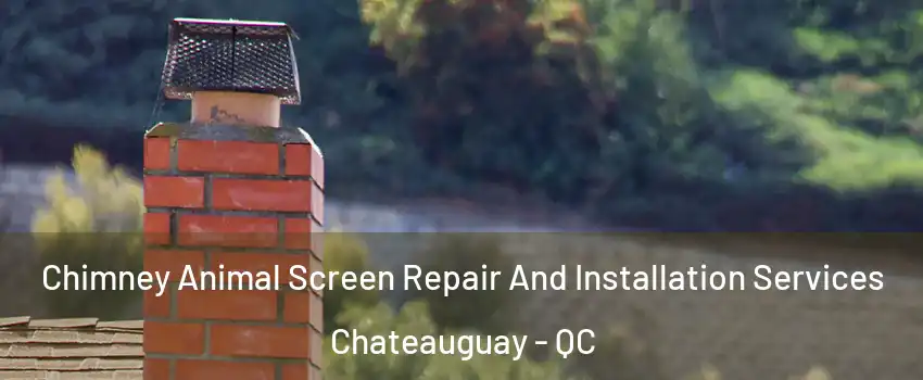  Chimney Animal Screen Repair And Installation Services Chateauguay - QC
