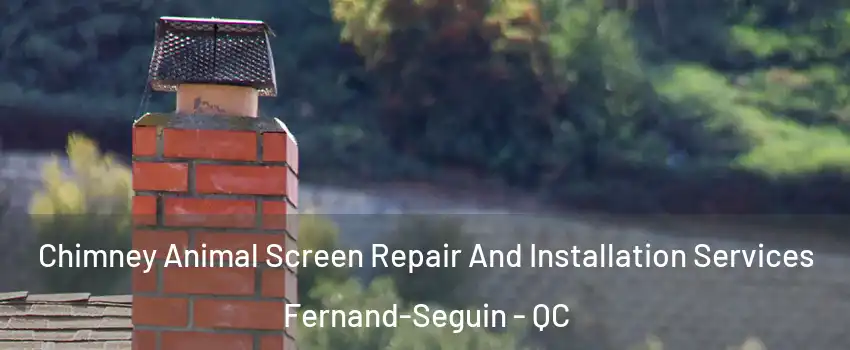  Chimney Animal Screen Repair And Installation Services Fernand-Seguin - QC