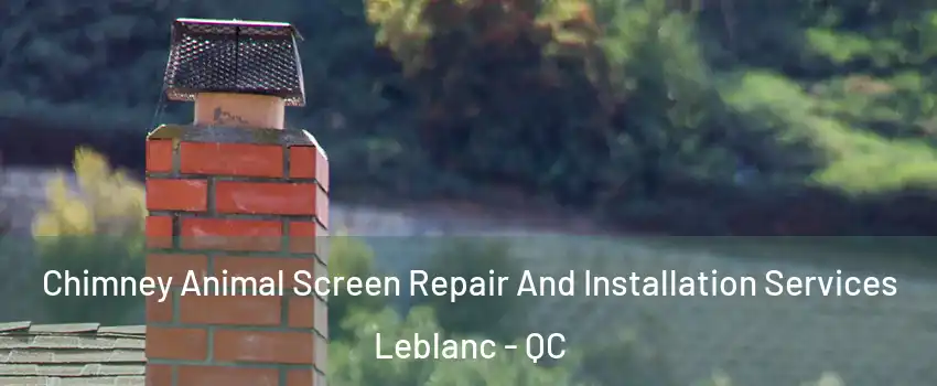 Chimney Animal Screen Repair And Installation Services Leblanc - QC