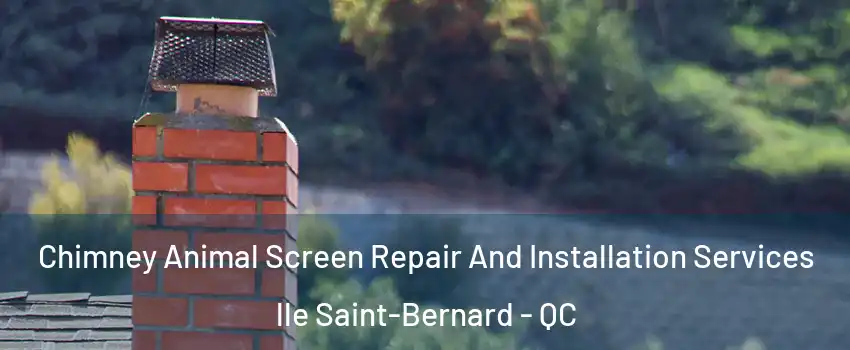  Chimney Animal Screen Repair And Installation Services lle Saint-Bernard - QC