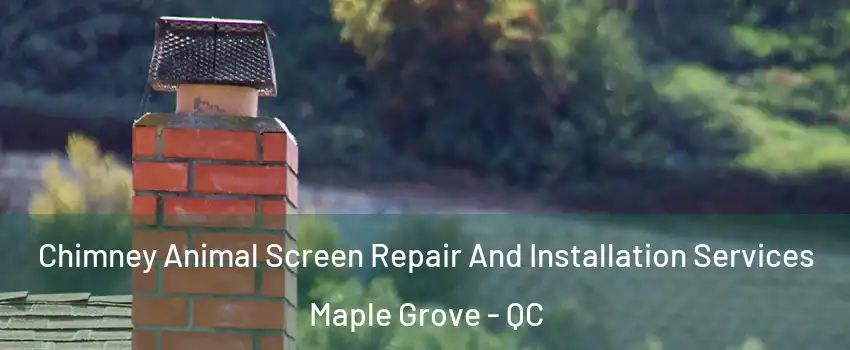  Chimney Animal Screen Repair And Installation Services Maple Grove - QC