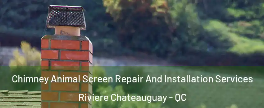  Chimney Animal Screen Repair And Installation Services Riviere Chateauguay - QC