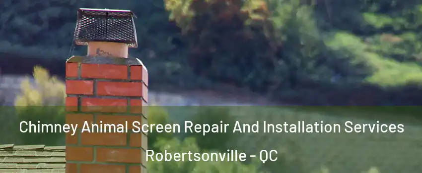  Chimney Animal Screen Repair And Installation Services Robertsonville - QC