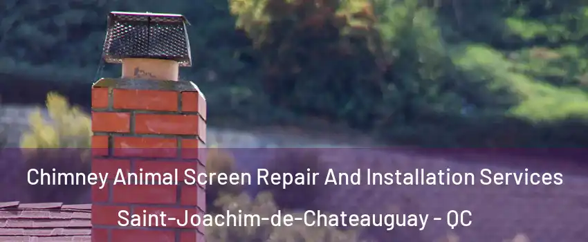  Chimney Animal Screen Repair And Installation Services Saint-Joachim-de-Chateauguay - QC