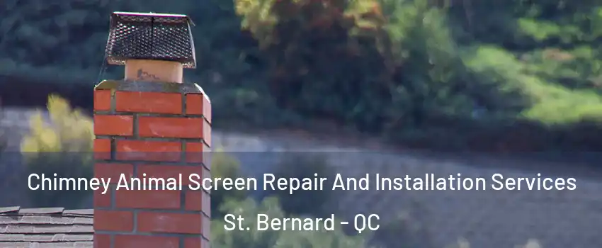  Chimney Animal Screen Repair And Installation Services St. Bernard - QC
