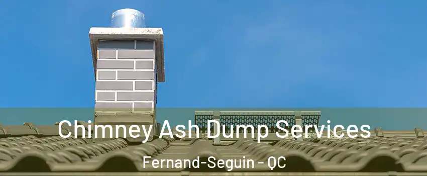  Chimney Ash Dump Services Fernand-Seguin - QC