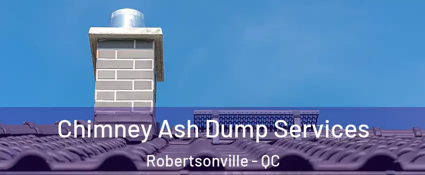  Chimney Ash Dump Services Robertsonville - QC