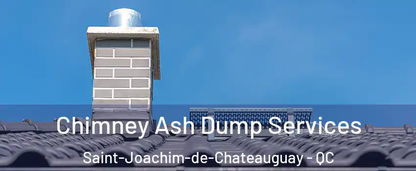  Chimney Ash Dump Services Saint-Joachim-de-Chateauguay - QC
