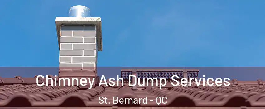  Chimney Ash Dump Services St. Bernard - QC