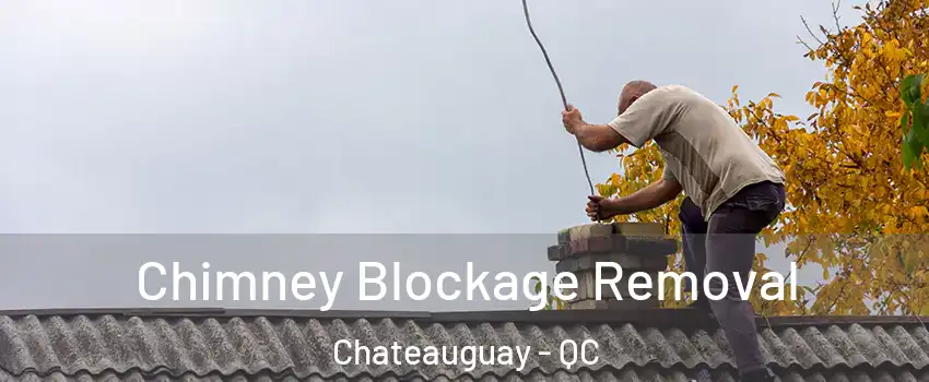  Chimney Blockage Removal Chateauguay - QC