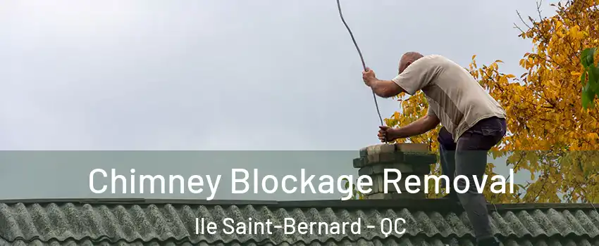  Chimney Blockage Removal lle Saint-Bernard - QC