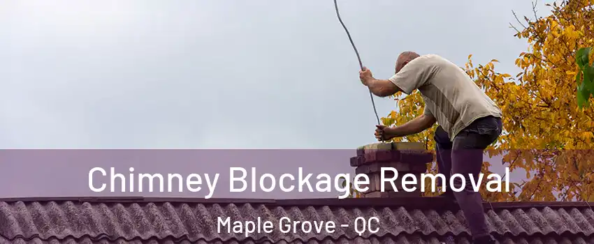  Chimney Blockage Removal Maple Grove - QC
