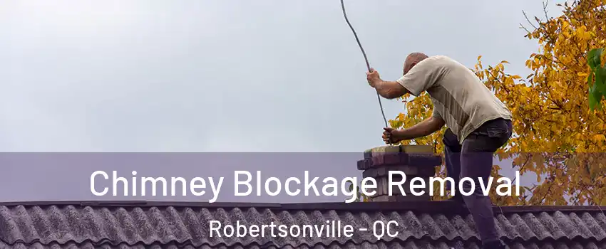  Chimney Blockage Removal Robertsonville - QC