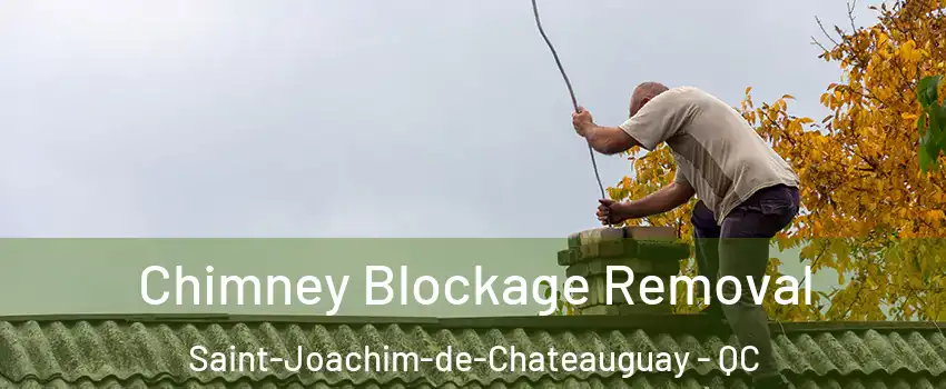  Chimney Blockage Removal Saint-Joachim-de-Chateauguay - QC