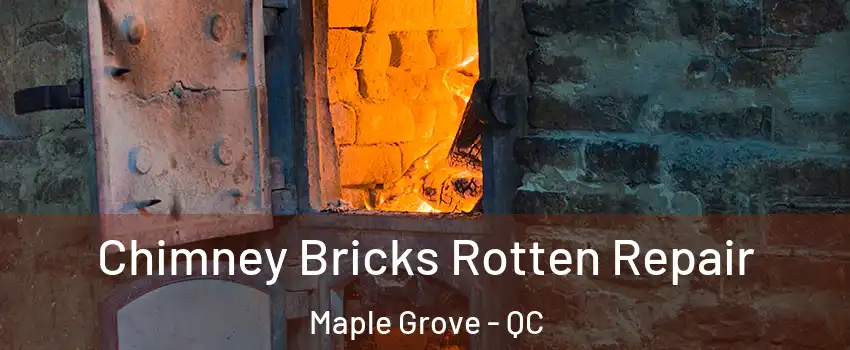  Chimney Bricks Rotten Repair Maple Grove - QC