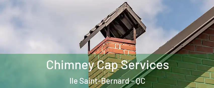  Chimney Cap Services lle Saint-Bernard - QC