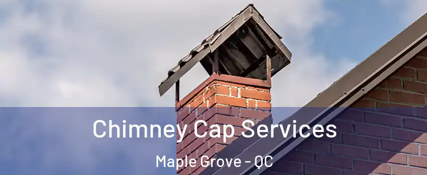  Chimney Cap Services Maple Grove - QC