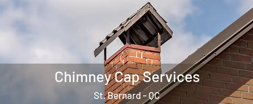  Chimney Cap Services St. Bernard - QC