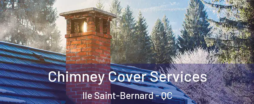  Chimney Cover Services lle Saint-Bernard - QC