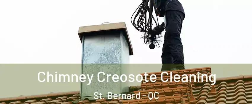  Chimney Creosote Cleaning St. Bernard - QC