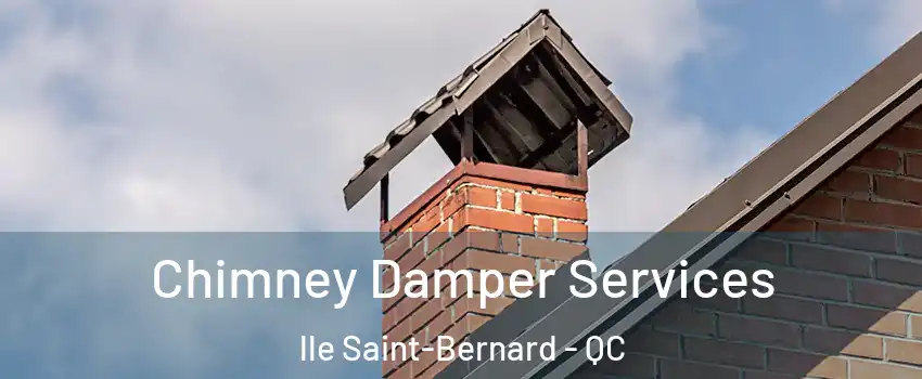  Chimney Damper Services lle Saint-Bernard - QC