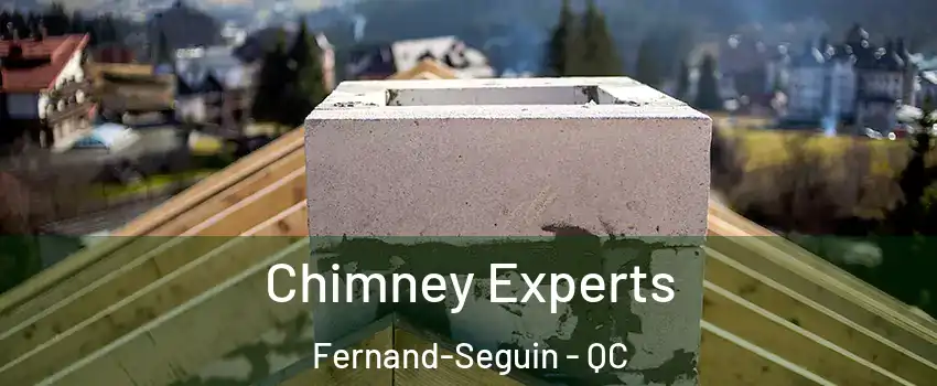 Chimney Experts Fernand-Seguin - QC