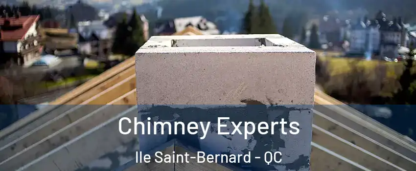 Chimney Experts lle Saint-Bernard - QC