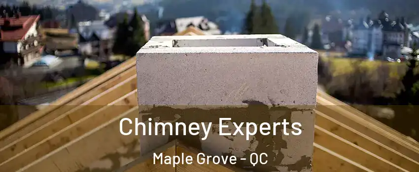 Chimney Experts Maple Grove - QC