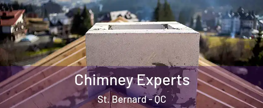 Chimney Experts St. Bernard - QC
