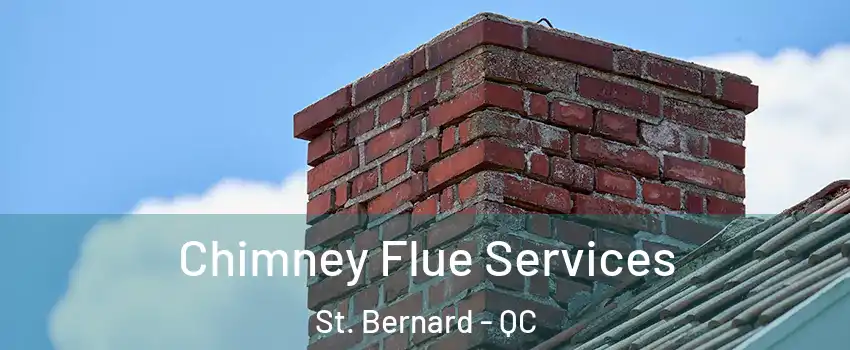  Chimney Flue Services St. Bernard - QC
