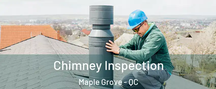  Chimney Inspection Maple Grove - QC