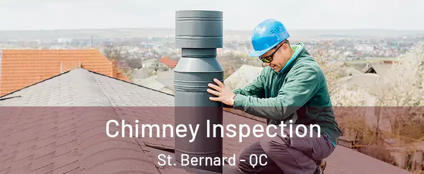  Chimney Inspection St. Bernard - QC