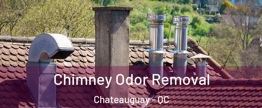  Chimney Odor Removal Chateauguay - QC