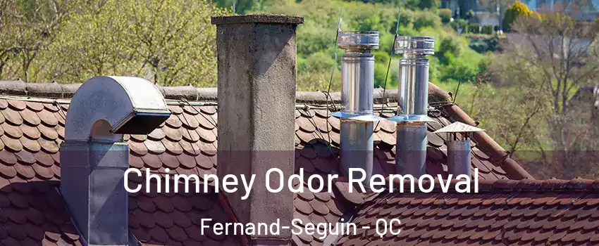  Chimney Odor Removal Fernand-Seguin - QC