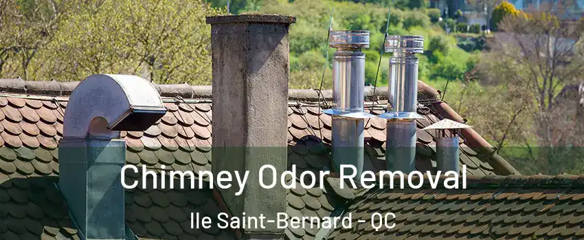  Chimney Odor Removal lle Saint-Bernard - QC