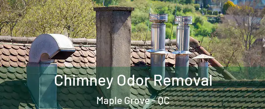  Chimney Odor Removal Maple Grove - QC