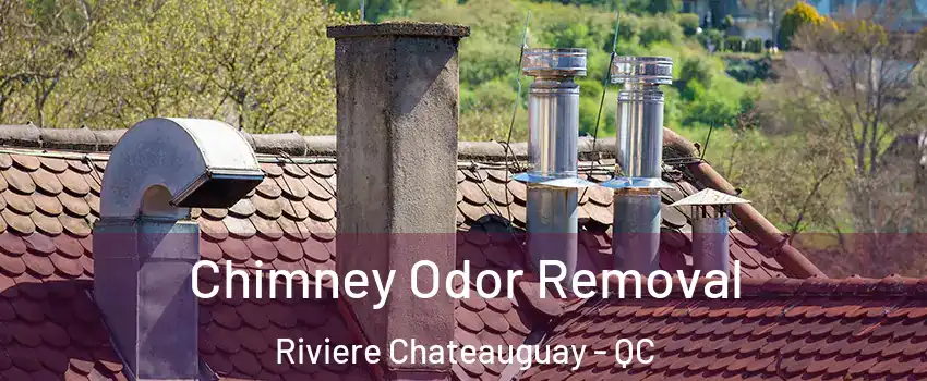  Chimney Odor Removal Riviere Chateauguay - QC