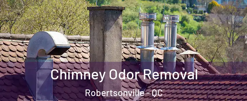  Chimney Odor Removal Robertsonville - QC