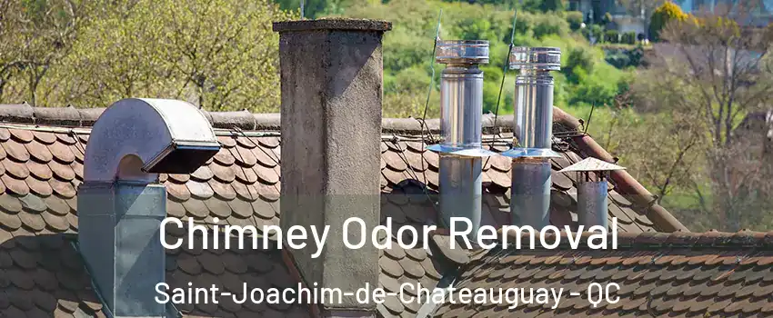  Chimney Odor Removal Saint-Joachim-de-Chateauguay - QC