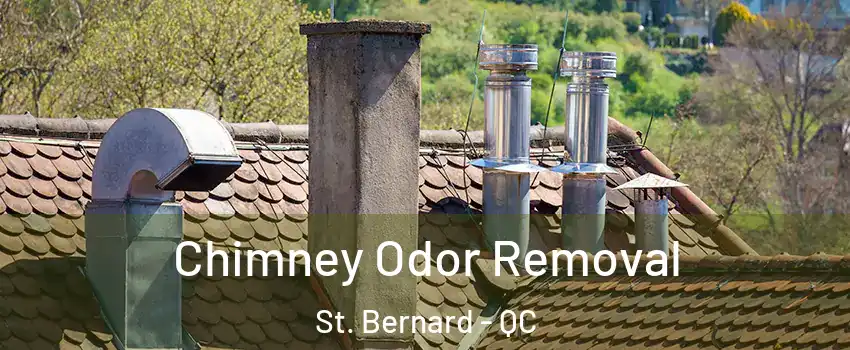  Chimney Odor Removal St. Bernard - QC