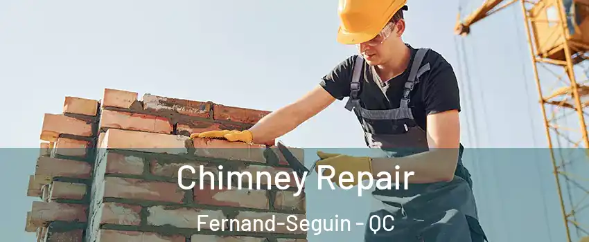  Chimney Repair Fernand-Seguin - QC