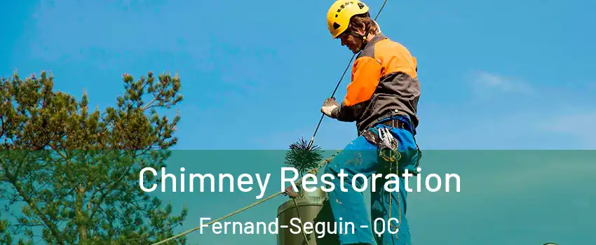  Chimney Restoration Fernand-Seguin - QC