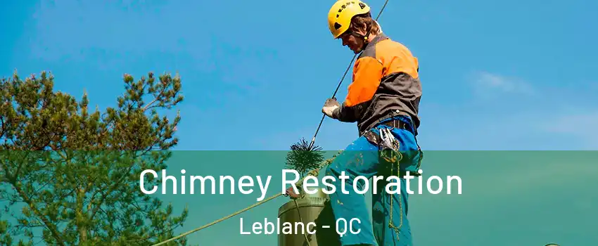  Chimney Restoration Leblanc - QC