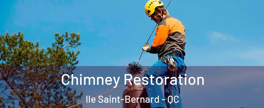  Chimney Restoration lle Saint-Bernard - QC
