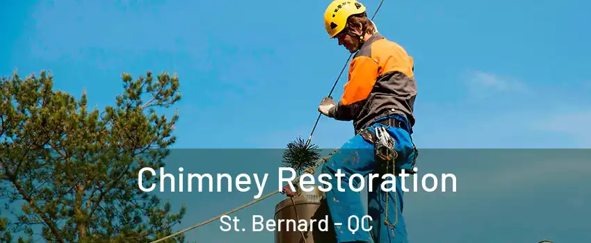  Chimney Restoration St. Bernard - QC