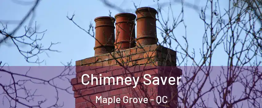  Chimney Saver Maple Grove - QC