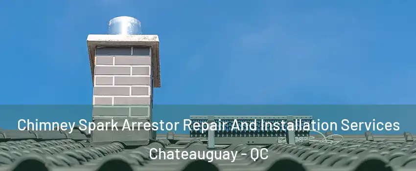  Chimney Spark Arrestor Repair And Installation Services Chateauguay - QC