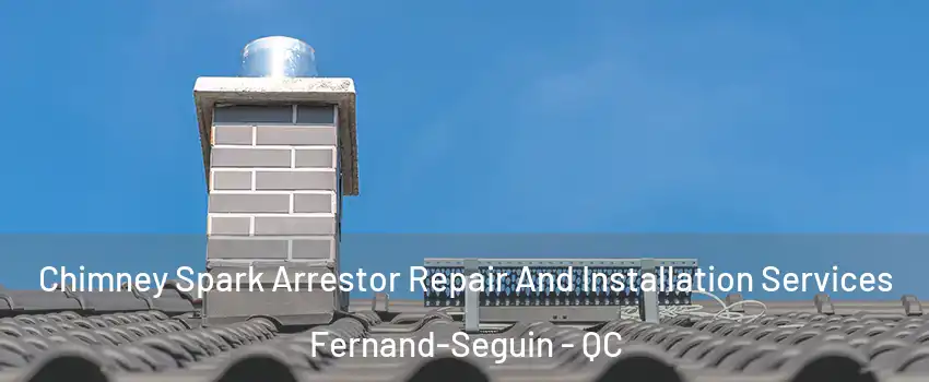  Chimney Spark Arrestor Repair And Installation Services Fernand-Seguin - QC