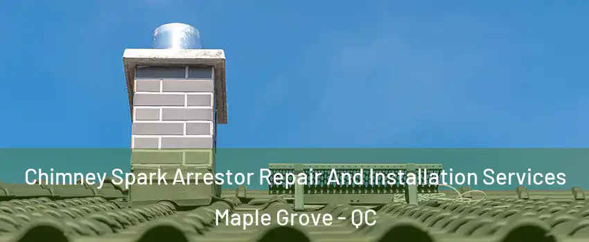  Chimney Spark Arrestor Repair And Installation Services Maple Grove - QC